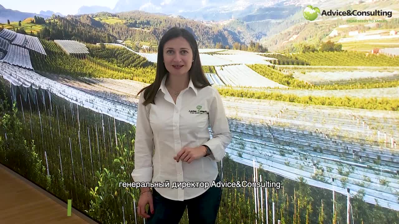 MACFRUT Advice&Consulting