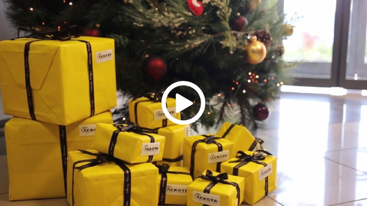 CASTA Professional Cooking Equipment- Christmas Coming Soon 5