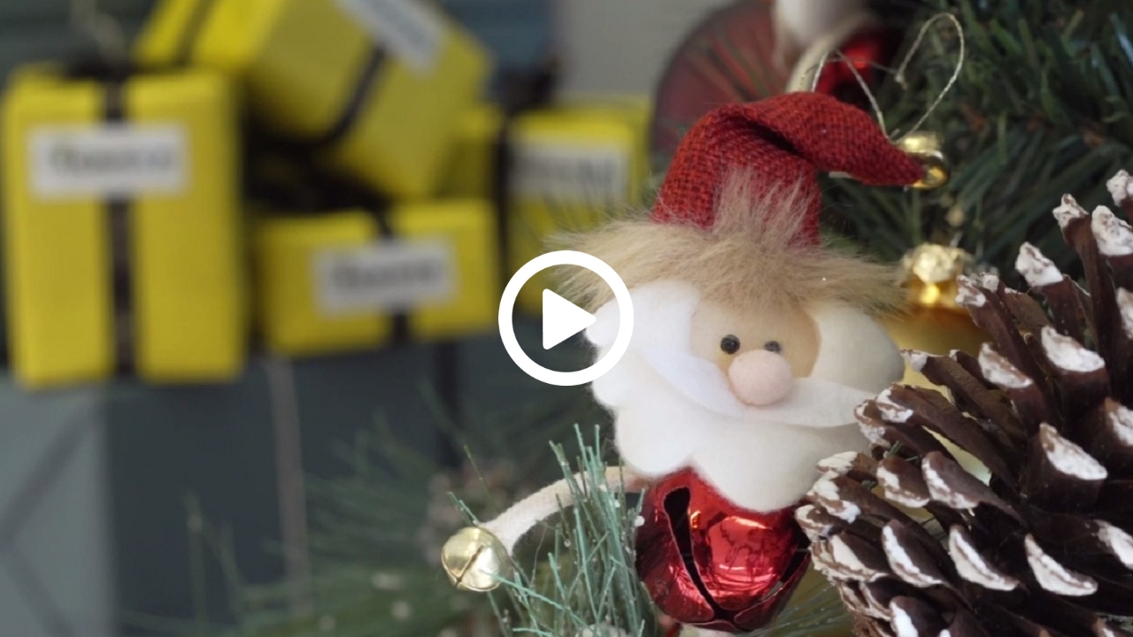 CASTA Professional Cooking Equipment- Christmas Coming Soon 6