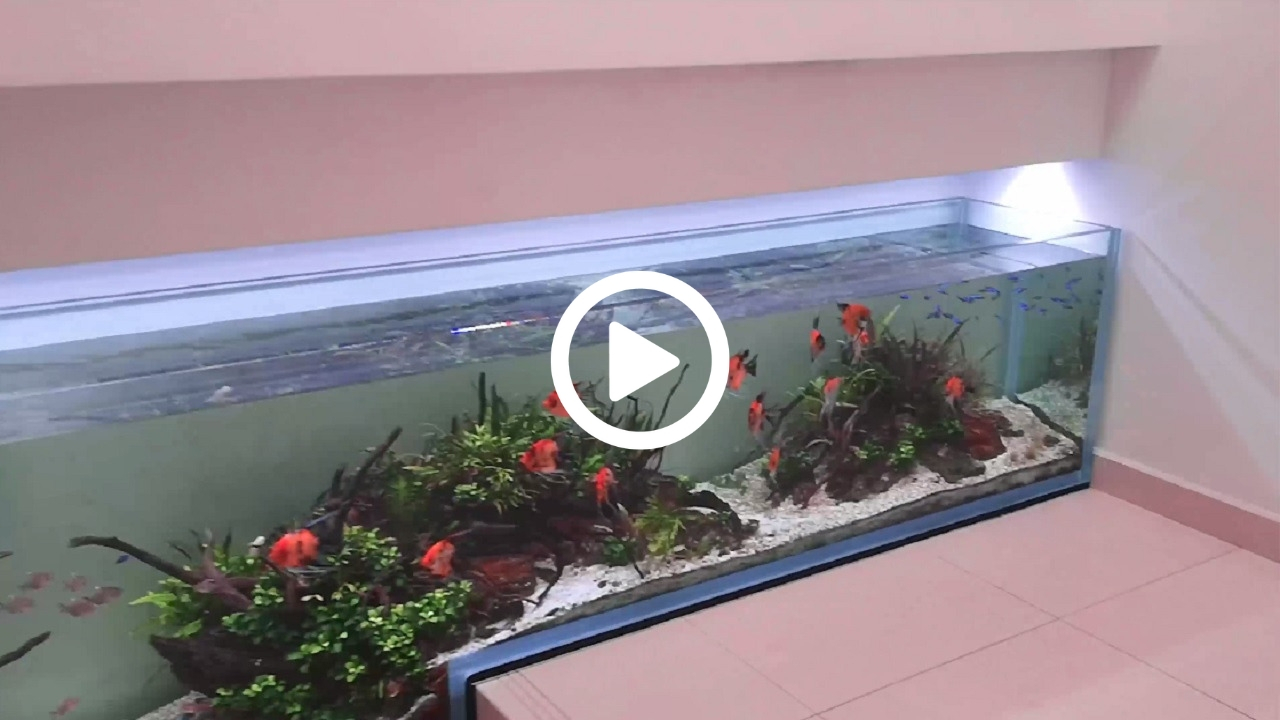 E.R. Lux - Nuovo Acquario in Sede -